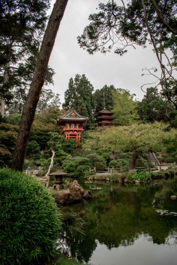 Japanese tea gardens, San Francisco, California USA