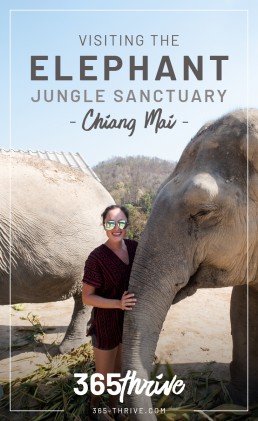 Elephant jungle sanctuary Chiang Mai_Pin