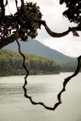 Tuyen lam lake, Dalat Vietnam