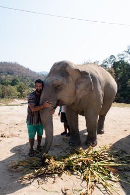 Elephant Jungle Sanctuary Chiang Mai, Thailand