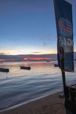 A guide to getting your PADI diving certification in Koh Tao, Thailand-1
