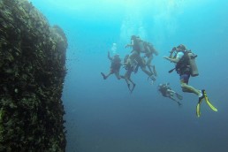A guide to getting your PADI diving certification in Koh Tao, Thailand-10