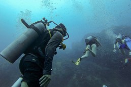 A guide to getting your PADI diving certification in Koh Tao, Thailand-6