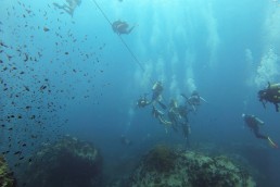 A guide to getting your PADI diving certification in Koh Tao, Thailand-7