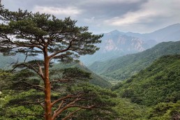 Hiking Ulsanbawi Rock Seoraksan National Park South Korea-10